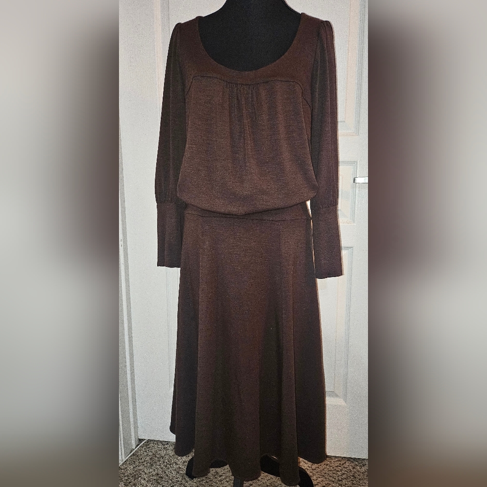 BCBGMaxAzria Chocolate Y2K Dress With Button Sleeve Detail